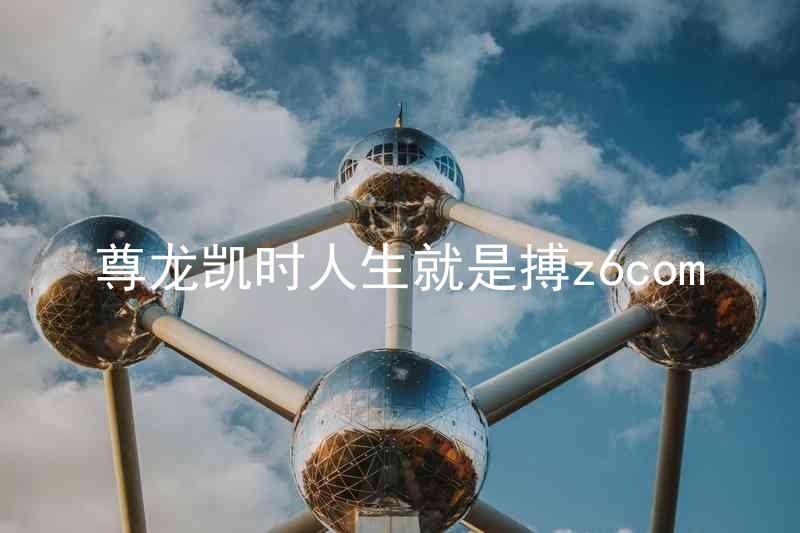 尊龙凯时人生就是搏z6com