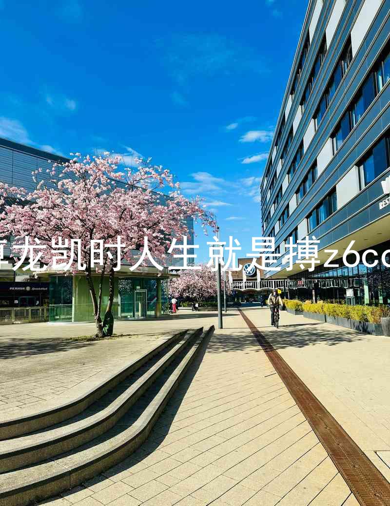 尊龙凯时人生就是搏z6com