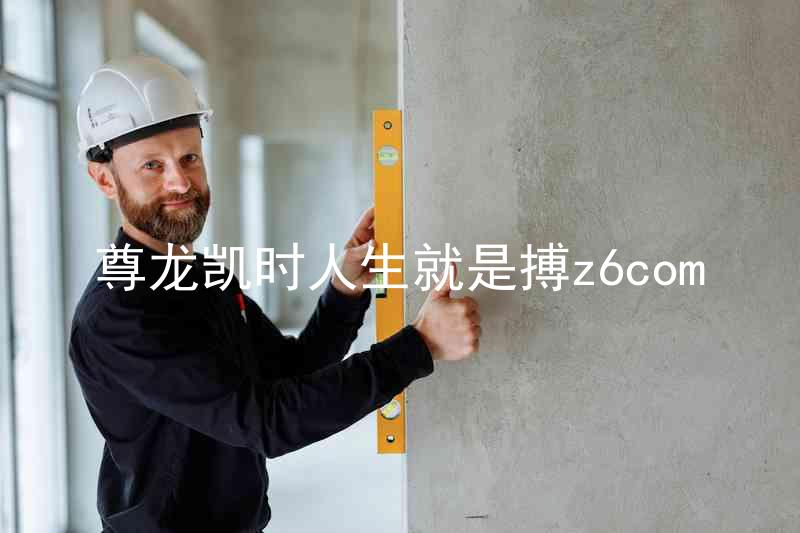 尊龙凯时人生就是搏z6com