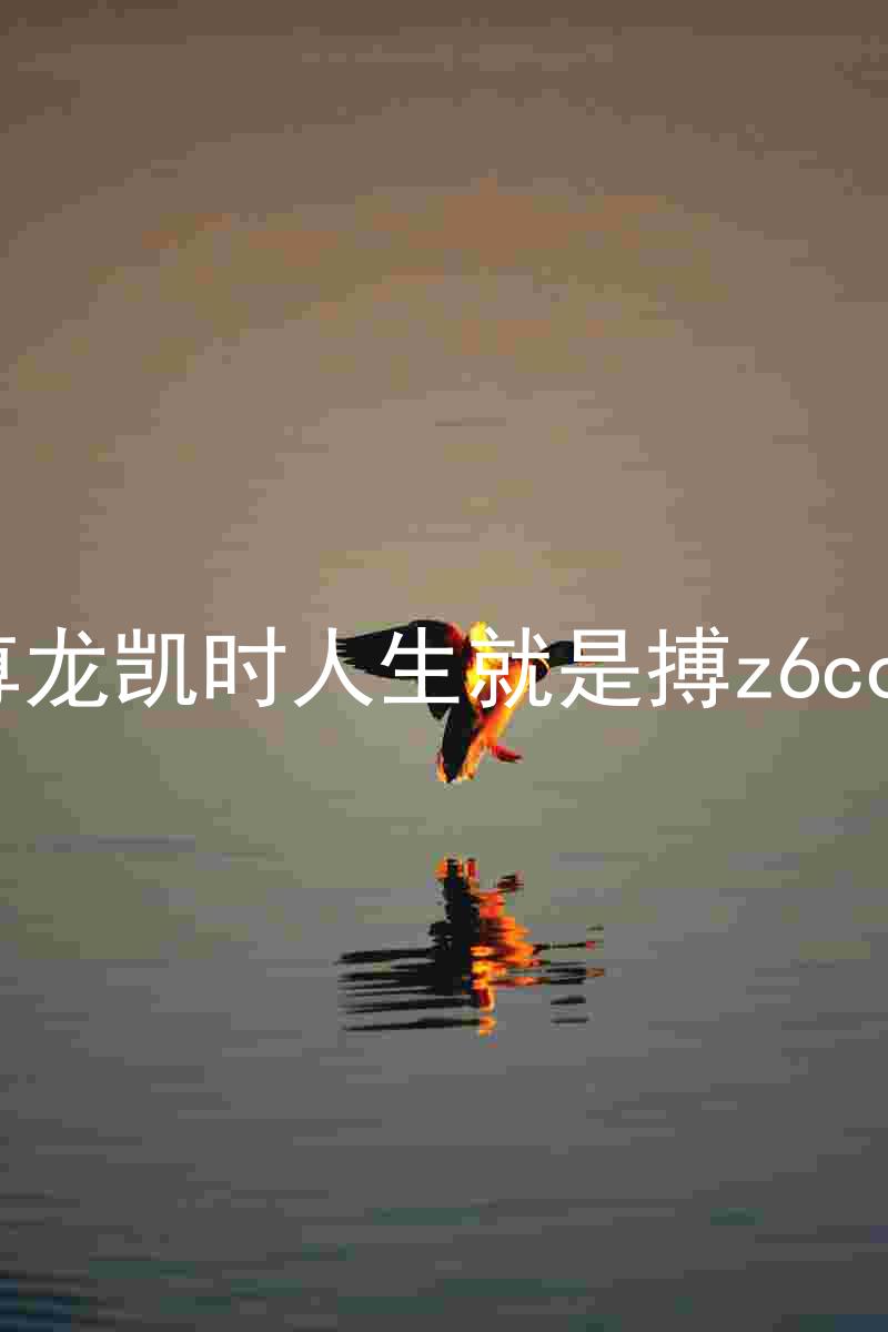尊龙凯时人生就是搏z6com